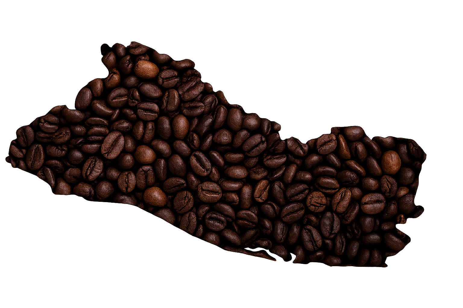 Mapa de El Salvador con granos de café